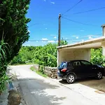 Modern In With Garden
