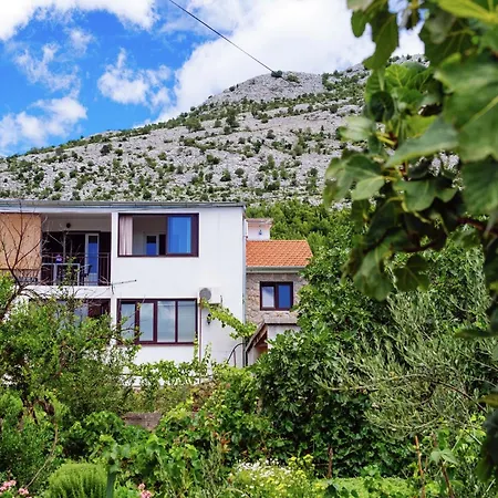 Modern Apartment In Starigrad With Garden