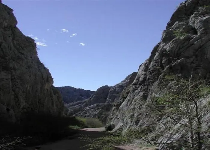 Modern In With Garden شقة