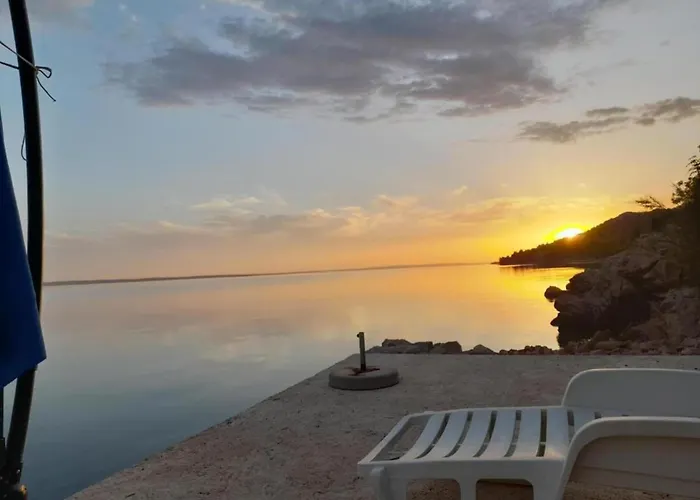 Modern In With Garden *