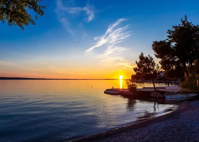 Modern In With Garden