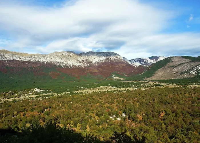 Modern In With Garden شقة