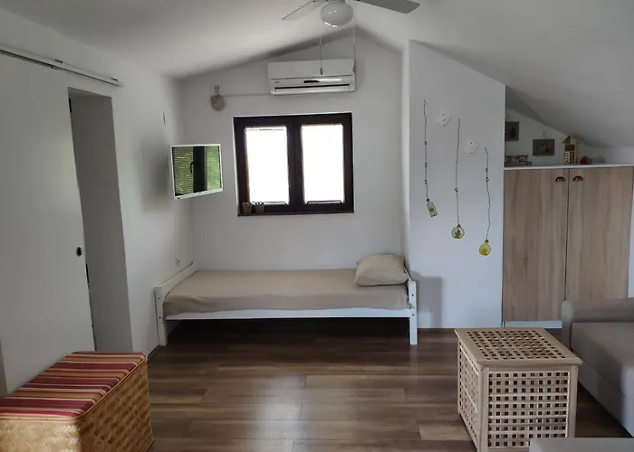 Modern In With Garden * ستاريغغاد باكلينتسا