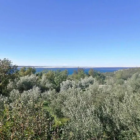 Modern In With Garden Starigrad-Paklenica