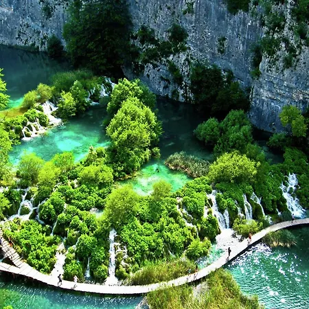 Apartament Modern In With Garden *