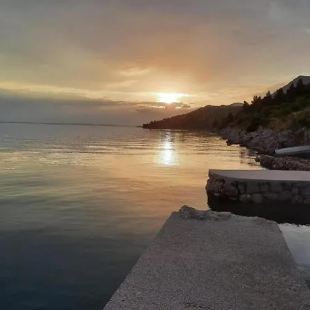 Modern In With Garden *