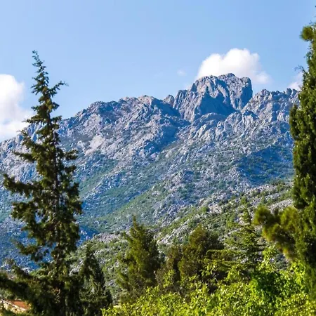 Modern In With Garden * Starigrad Paklenica