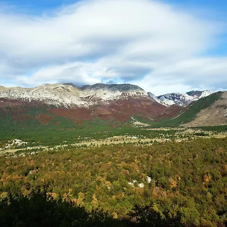 Modern In With Garden Apartament