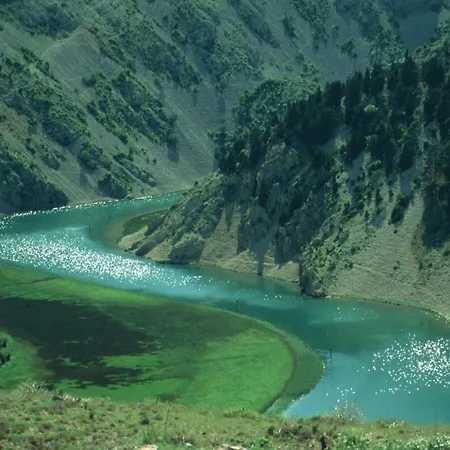 Modern In With Garden Apartament *