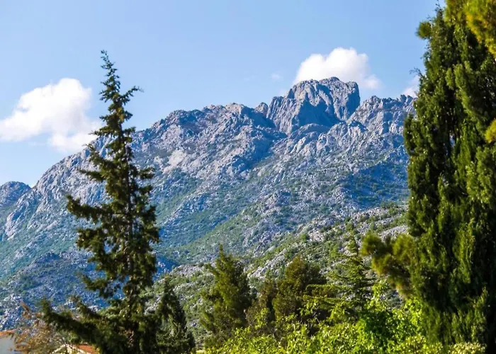 Modern In With Garden * Starigrad Paklenica